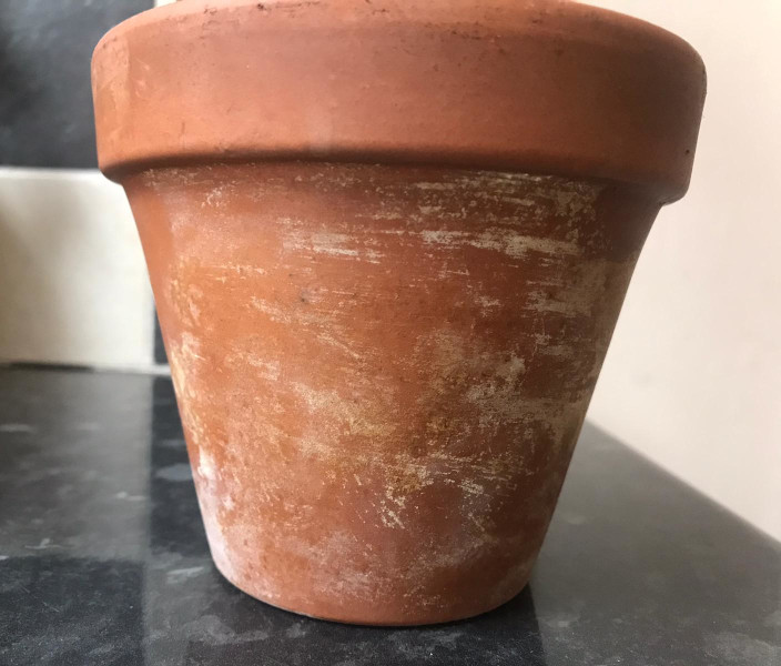 white powder on terracotta pot