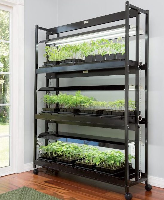 3 tier plant stand grow lights