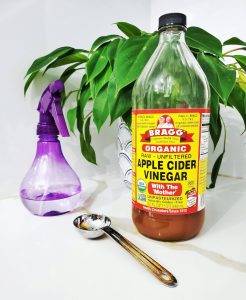 can i spray vinegar on houseplants
